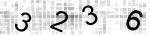 capatch